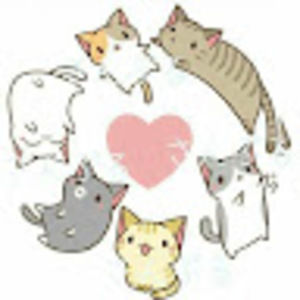 Meet your Posher, Kira